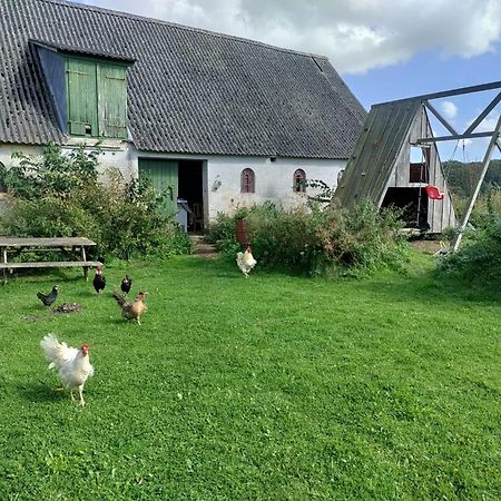 Bed and Breakfast Petersholm Odder Exterior foto