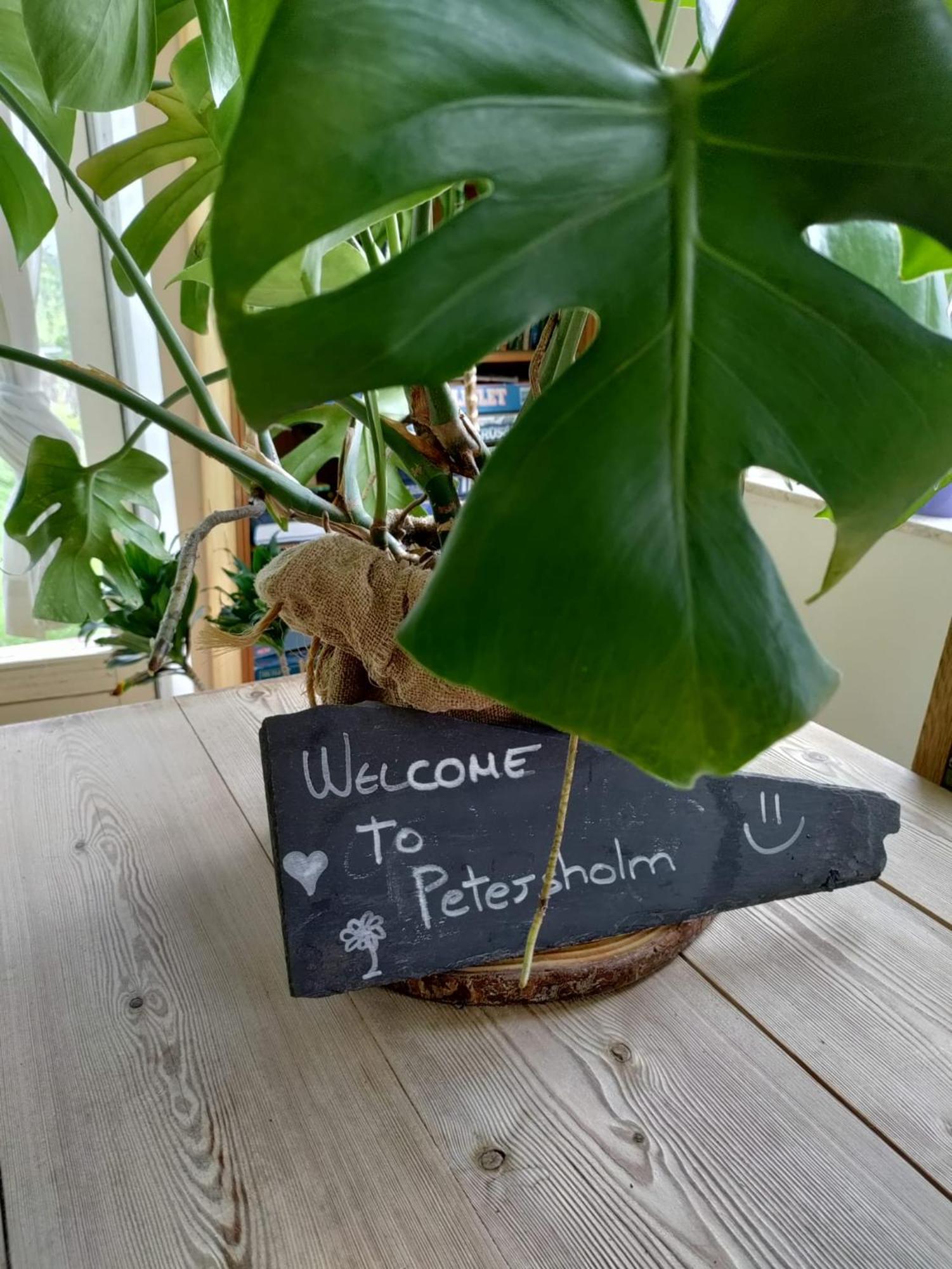 Bed and Breakfast Petersholm Odder Exterior foto
