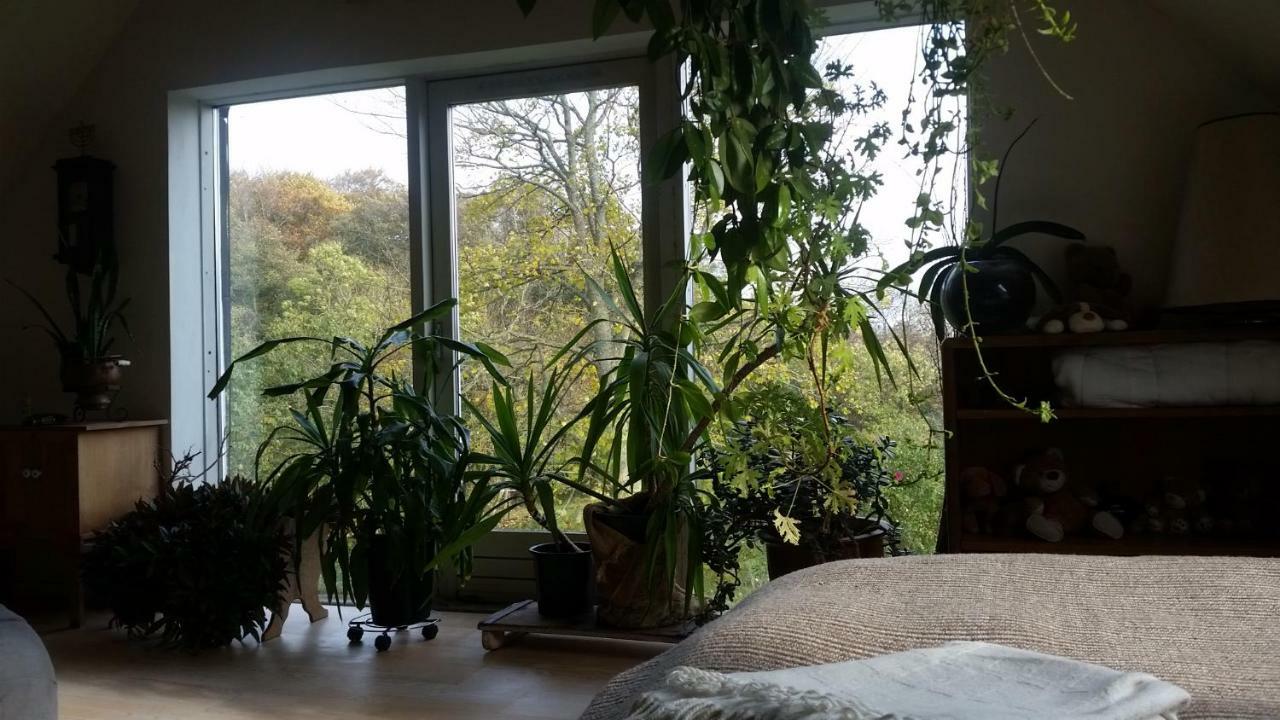Bed and Breakfast Petersholm Odder Exterior foto